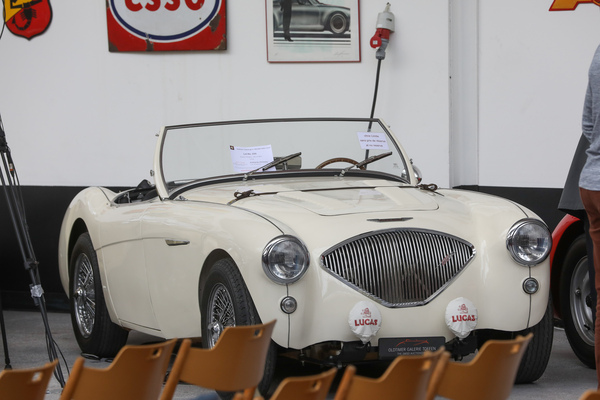 Austin-Healey 100:4 BN1 (1954) - wurde als letztes Lot verkauft - Oktober-Auktion der Oldtimer Galerie Toffen 2022