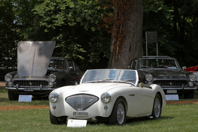 Austin-Healey 100/4 BN1 (1955) - Klasse "F1 - Mille Miglia 90e Anniversaire" - Concours d'Elégance Suisse Coppet 2017 (1955)