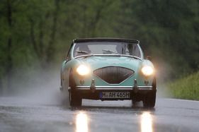 Austin-Healey 100/4 M (1956) - am Start in der Sportwagenklasse - Gaisbergrennen 2013 - Berglauf auf den Gaisberg am Freitag (1956)