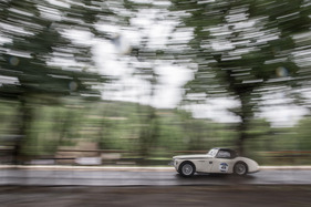Austin Healey 100/4 M BN2 (1956) - an der Mille Miglia 2016 (1956)