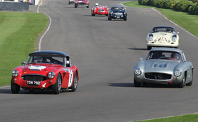 Austin-Healey 100/6 (1956) - im Rennen um die Fordwater Trophy am Goodwood Revival 2013