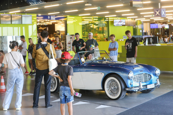 Image: Austin-Healey 100-6 (1958) - Concours d'Excellence Lucerne 2023