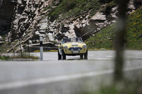 Austin-Healey 100/6 BN4 (1957) - Stelvio Rally - British Classic Car Meeting 2019