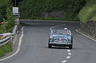 Austin-Healey 100/6 BN4 (1957) - am Kerenzerberg Revival 2015