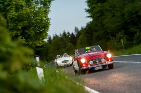 Austin-Healey 100/6 BN4 (1957) - an der Mille Miglia 2014