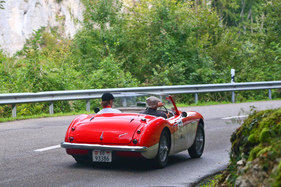 Austin-Healey 100 BN 6 (1958) - am Gempen Memorial 2014