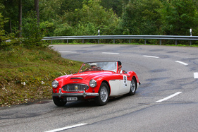 Austin-Healey 100 BN 6 (1958) - am Gempen Memorial 2014