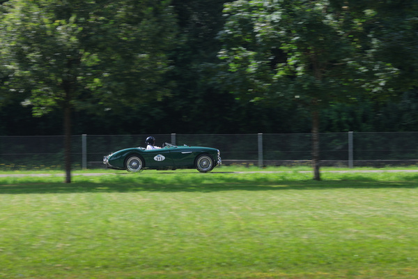Austin-Healey 100 BN1 (1954) - Startfeld 5 "Vorkriegs- und historische Sportwagen" - Oldtimer GP Brugger Schachen 2024