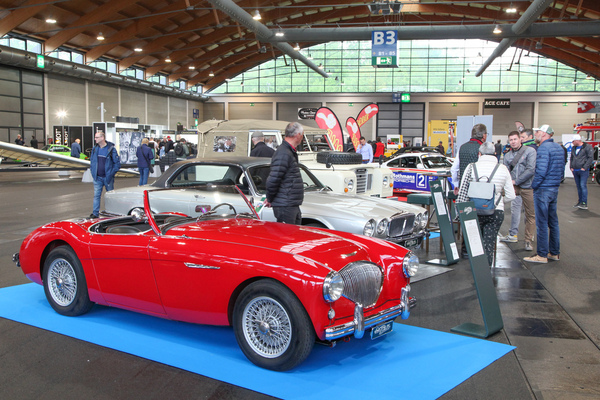 Austin-Healey 100 BN1-L (1954) - früher AH bei Emil Frey Classics - Motorworld Classics Bodensee 2022