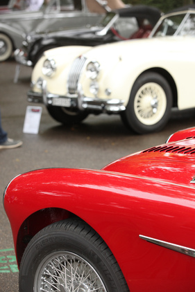 Austin-Healey 100 BN2 (1955) - am Zurich Classic Car Award 2015