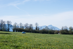 Austin Healey 100 M (1955) an der Tour Auto Optic 2ooo auf Etappe 4 am 11. April 2014 (Startnummer 092)