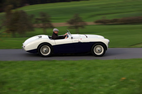 Austin-Healey 100 S (1955) - 50 Serienfahrzeuge wurden verkauft im Jahr 1955