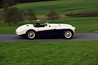 Austin-Healey 100 S (1955) - 50 Serienfahrzeuge wurden verkauft im Jahr 1955