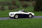 Austin-Healey 100 S (1955) - hart aber herzlich