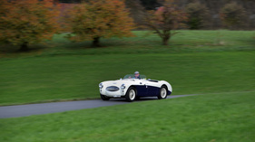 Austin-Healey 100 S (1955) - weckt Sympathien auf der Strasse