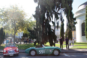 Austin-Healey 100 S - "Tribute Car" - Swiss Classic British Car Meeting Morges 2017