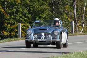 Austin-Healey 100 Six (1957) - Kategorie S - Renn- und Strassensportwagen am Memorial Bergrennen Opfershofen "Rendezvous am Kleinen Klausen" 2021 (1957)