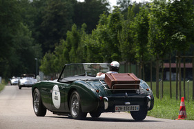 Austin-Healey 100 Six (1958) - am GP Brugger Schachen 2013 (1958)