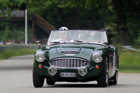 Austin-Healey 100 Six (1958) - am GP Brugger Schachen 2013 (1958)