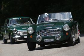 Austin-Healey 100 Six (1958) - am GP Brugger Schachen 2013 (1958)
