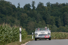 Austin-Healey 100 six (1957) - am RAID Suisse-Paris 2015 (1957)