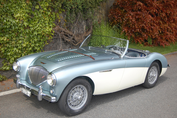 Bild: Austin-Healey 100M (1954) - angeboten an der Versteigerung der Oldtimer Galerie anlässlich der Dolder Classics am 7. Juni 2014