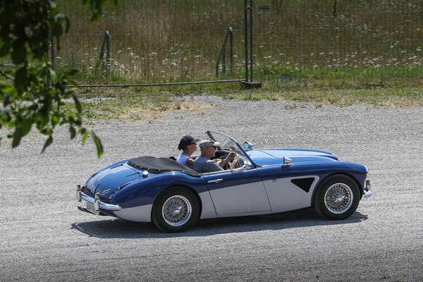 Austin-Healey 3000 (1958) - Albisbütli Classics Cars & Bikes Juli 2025