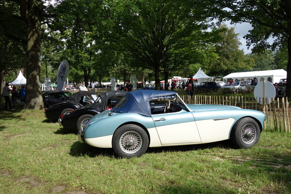 Bild Austin-Healey 3000 (1962) – Classic Days Düsseldorf 2023