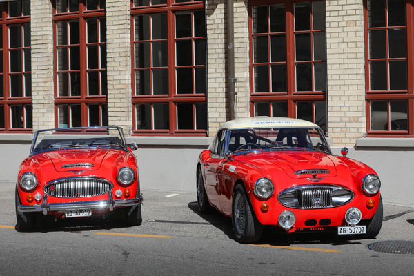 Austin-Healey 3000 (1962) - zweimal in Rot - British Car Meeting Motorworld Kemptthal 2025