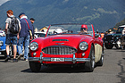 Austin-Healey 3000 (1965) - Sturmhaube in der passenden Farbe - BCM 2022