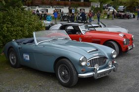 Austin Healey 3000 MK I (1961) - Grossglockner Grand Prix 2015