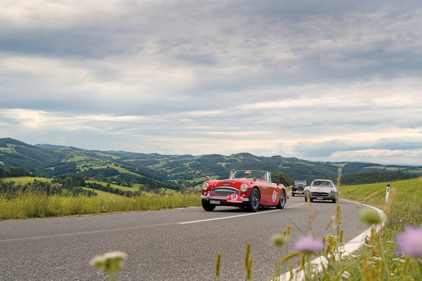 Image: Austin-Healey 3000 MK II (1963) - on the most beautiful country roads - 30th RAID Klosters-Vienna 2020
