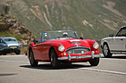Austin-Healey 3000 MK III BJ8 (1966) - am British Classic Car Meeting St. Moritz 2015