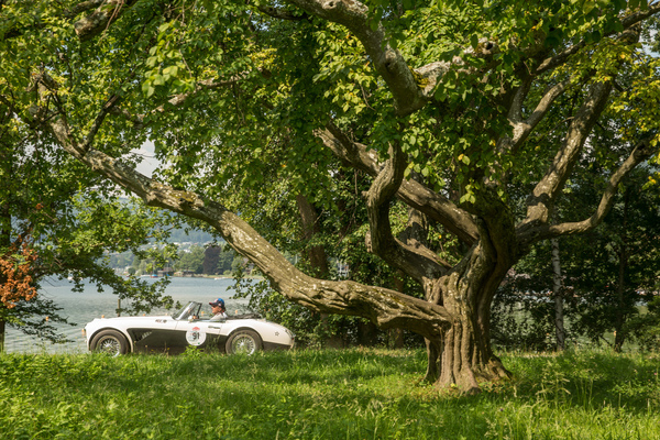 Austin-Healey 3000 MKll (1962) - 32. Ennstal-Classic 2024