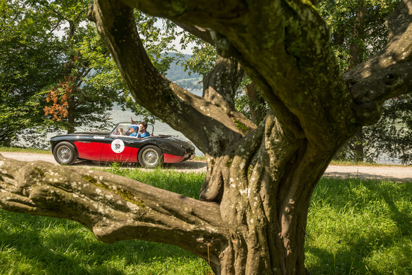 Austin-Healey 3000 MKlll (1962) - 32. Ennstal-Classic 2024