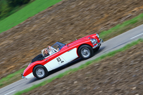 Austin-Healey 3000 Mark II (1965) - am Gempen Memorial 2014