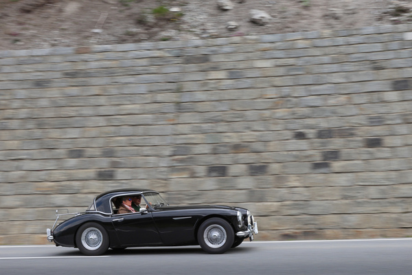 Austin-Healey 3000 Mk I (1960) - 30. BCCM St. Moritz “Safari Edition” 2024