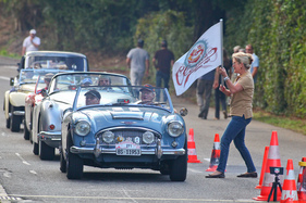 Austin-Healey 3000 Mk II (1961) - at the Gempen Memorial 2014
