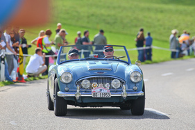 Austin-Healey 3000 Mk II (1961) - am Gempen Memorial 2014