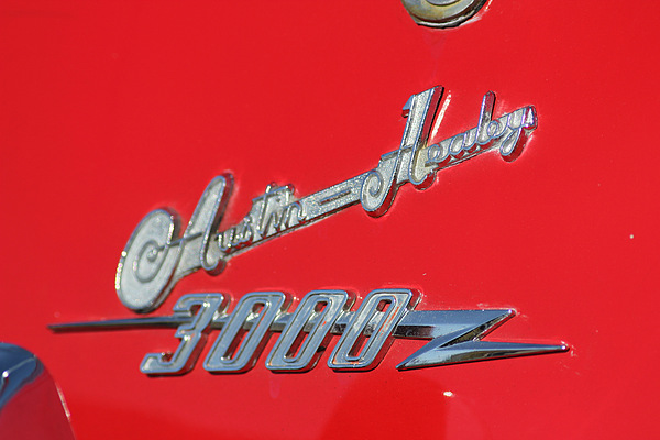 Austin-Healey 3000 Mk II BJ7 (1962) - kunstvoller Schriftzug