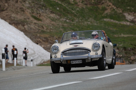 Austin-Healey 3000 Mk II BJ7 (1963) - Stelvio Rally - British Classic Car Meeting 2019