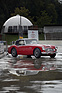 Austin-Healey 3000 Mk II - an der Dolder Classics vom September 2013