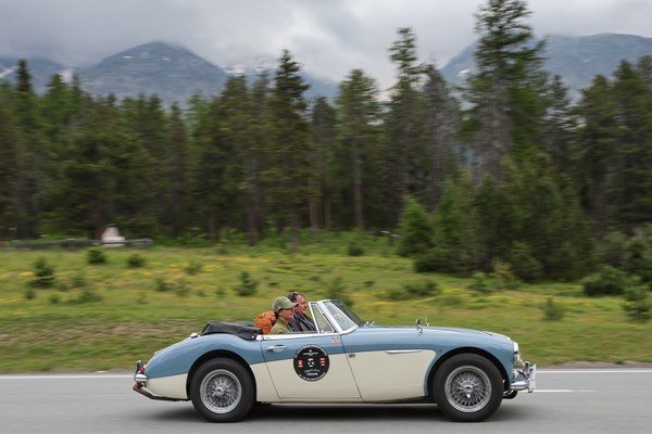 Austin-Healey 3000 Mk III (1964) - 30. BCCM St. Moritz “Safari Edition” 2024