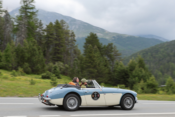 Austin-Healey 3000 Mk III (1964) - 30. BCCM St. Moritz “Safari Edition” 2024