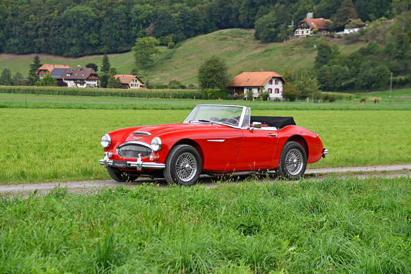 Austin-Healey 3000 Mk III (1965) - als Lot 148 an der Versteigerung der Oldtimer Galerie Toffen am 14. Oktober 2023 angeboten