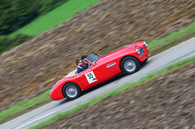 Austin-Healey BN 6 (1958) - am Gempen Memorial 2014