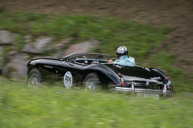 Austin Healey BN1 S (1953) an der Bergprüfung Altbüron 2017 - Feld 3