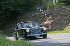 Austin Healey BN1 S (1953) an der Bergprüfung Altbüron 2017 - Feld 3