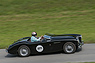 Austin Healey BN1 S (1953) an der Bergprüfung Altbüron 2017 - Feld 3 (© Balz Schreier, 2017) Austin Healey BN1 S (1953) an der Bergprüfung Altbüron 2017 - Feld 3 (© Balz Schreier, 2017)