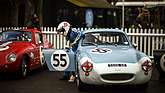 Austin-Healey Sebring Sprite (1959) - Weslake Cup - Goodwood Members' Meeting 2017